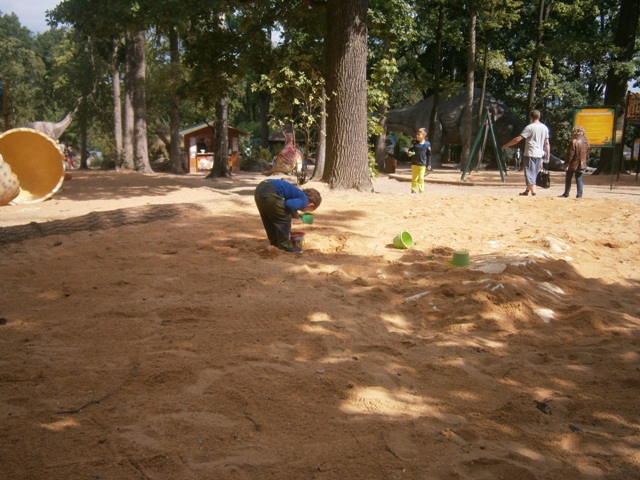 P9040377
