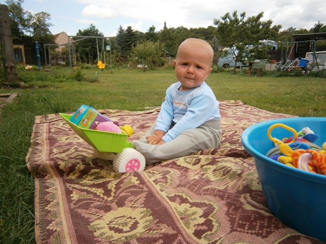 P8030011